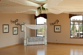Dance Floor Ceiling Drapery - Idea Gallery - Tulle & light ceiling decor for rent